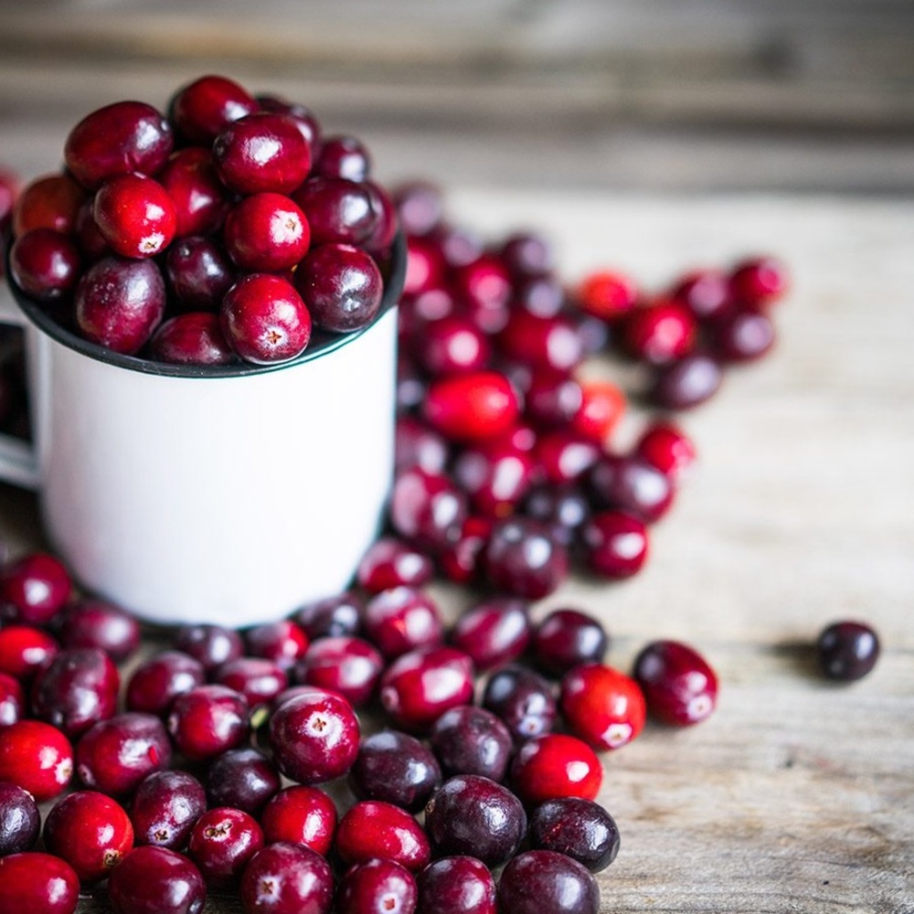 My top autumn picks